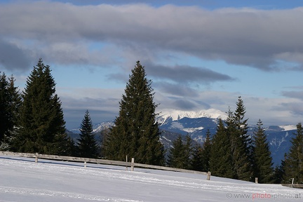 Schneeschuhwandern (20090104 0022)